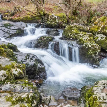 Vakantiehuis Amber Nook *